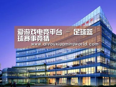 案例展示五